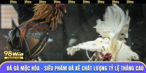 đá gà mộc hóa